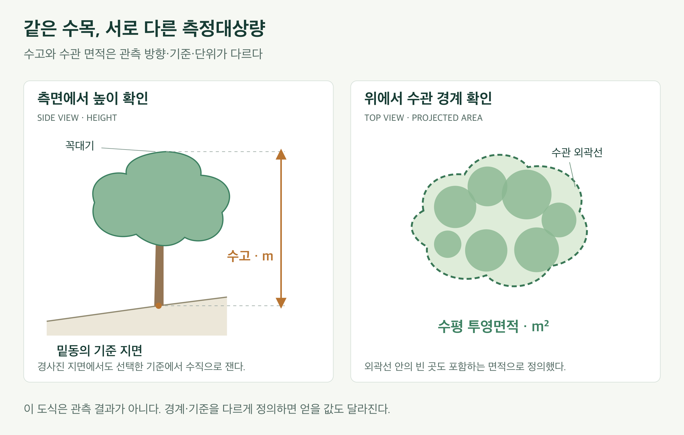 왼쪽은 측면의 수목과 경사진 지면에서 줄기 밑동의 기준 높이와 꼭대기 사이 수직 높이를 표시한다. 오른쪽은 위에서 본 수관의 외곽 경계를 평면에 투영해 그 안의 면적을 표시한다. 수고는 m, 투영면적은 m²로 기록하며 수관 내부의 빈 곳을 포함하는 외곽 경계 면적과 잎이 보이는 피복 면적은 구분한다.